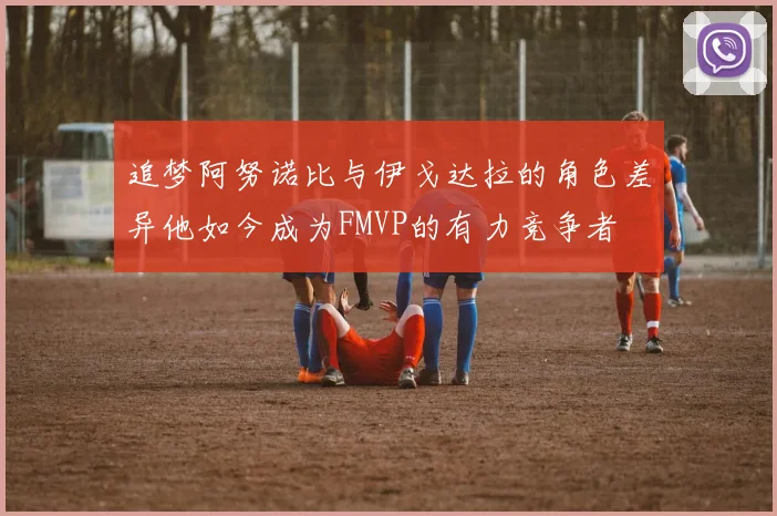 追梦阿努诺比与伊戈达拉的角色差异他如今成为FMVP的有力竞争者