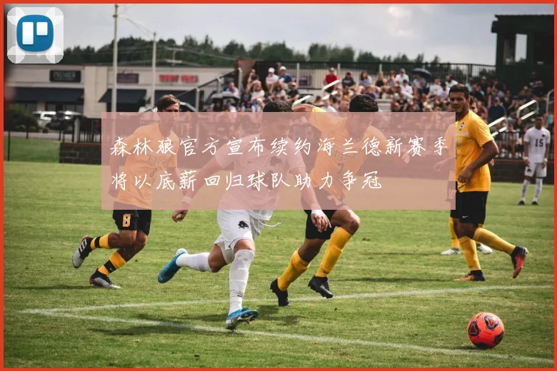 森林狼官方宣布续约海兰德新赛季将以底薪回归球队助力争冠