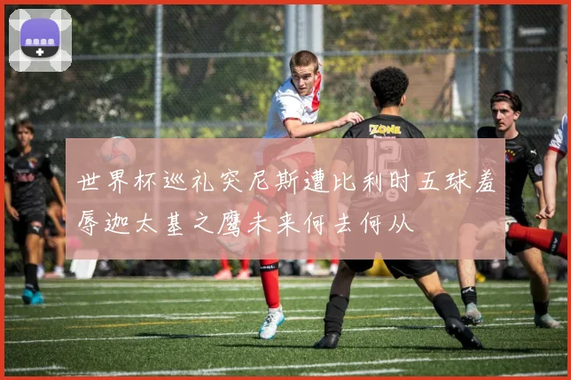 世界杯巡礼突尼斯遭比利时五球羞辱迦太基之鹰未来何去何从